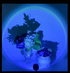 LED Sunset Lamp Nightlights USB Projector Birthday Party Decoration Mood Lights For Bedroom Living Room Wall Photography-Serilas