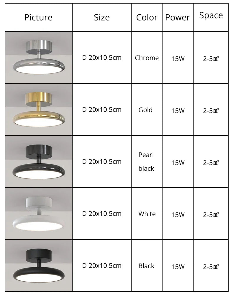 Modern LED Chandelier Indoor Lighting For Aisle Corridor Balcony Wardrobe Bedroom Living Room Lights HOME Decoration Lamps