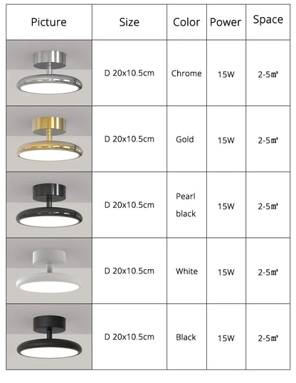 Modern LED Chandelier Indoor Lighting For Aisle Corridor Balcony Wardrobe Bedroom Living Room Lights HOME Decoration Lamps