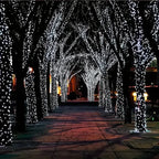 LED Solar Light String 8 Functions Outdoor Waterproof Lawn Starry Sky Christmas Garden Courtyard Decoration Atmosphere Lights-Serilas