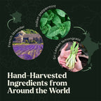 100% PURE Essential Set Oils For Aroma Diffuser Machine Air Humidifier Candle Making Scents  Hotel Series Fragrance Oil 5ML x 10-Serilas