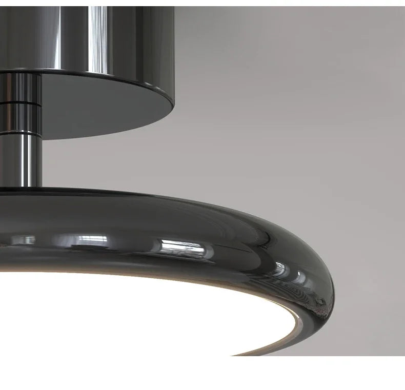 Modern LED Chandelier Indoor Lighting For Aisle Corridor Balcony Wardrobe Bedroom Living Room Lights HOME Decoration Lamps