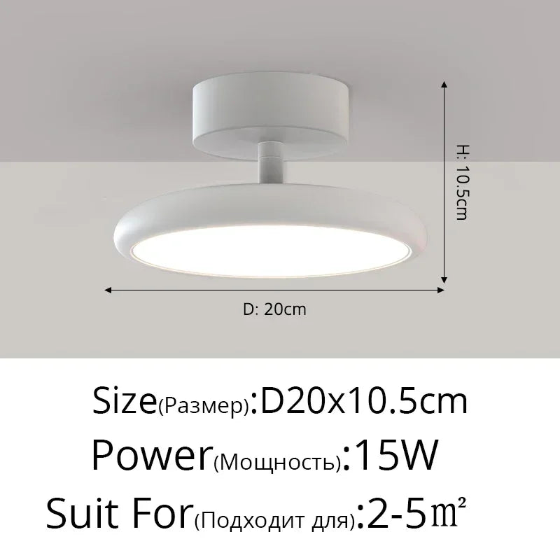 Modern LED Chandelier Indoor Lighting For Aisle Corridor Balcony Wardrobe Bedroom Living Room Lights HOME Decoration Lamps