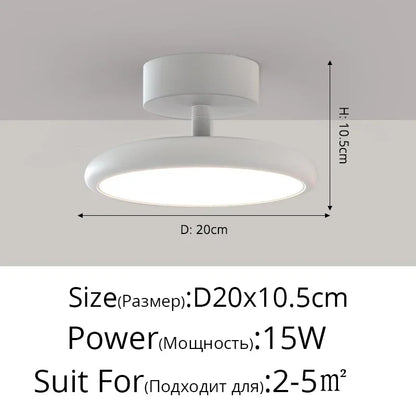 Modern LED Chandelier Indoor Lighting For Aisle Corridor Balcony Wardrobe Bedroom Living Room Lights HOME Decoration Lamps