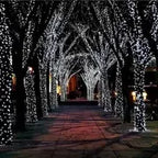 LED Solar Light String 8 Functions Outdoor Waterproof Lawn Starry Sky Christmas Garden Courtyard Decoration Atmosphere Lights-Serilas