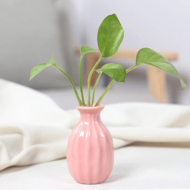 Ins Ceramics Flower Vase Nordic Hydroponics Vases Creative Room Decor Mini Flower Plant Bottle Pots Table Ornament Colorful Vase-Serilas