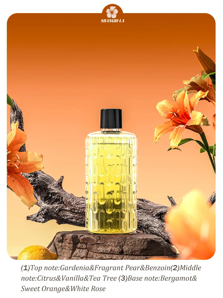 Automatic aromatherapy diffuser for eliminating odors, suitable for household use, with essential oil for air freshening.-Serilas