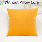 Velvet Solid Color Skin-friendly Pillow Cover Cushion Cover (excluding Filling) Living Room Sofa Decoration Cushion Cover-Serilas