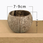 Creative Rough Coconut Shell Candle Holder (No Candle) Coconut Candlestick Romantic Decor Household Ornaments-Serilas