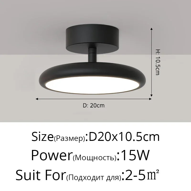 Modern LED Chandelier Indoor Lighting For Aisle Corridor Balcony Wardrobe Bedroom Living Room Lights HOME Decoration Lamps