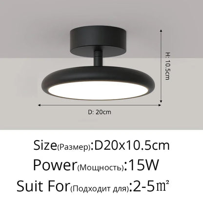 Modern LED Chandelier Indoor Lighting For Aisle Corridor Balcony Wardrobe Bedroom Living Room Lights HOME Decoration Lamps